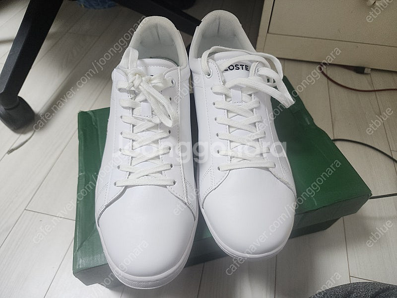 280 라코스테 에보 카나비--1