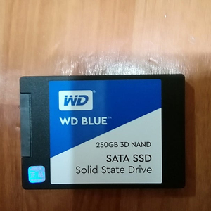 고용량 WD BLUE 250 SSD 고속 SSD win10 win11 외 프로그램내장 2만7