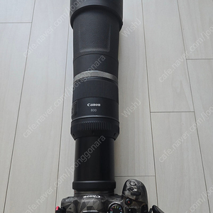 캐논 Rf 800mm 팝니다.