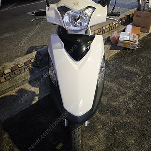 Vf100 2021년식 A급