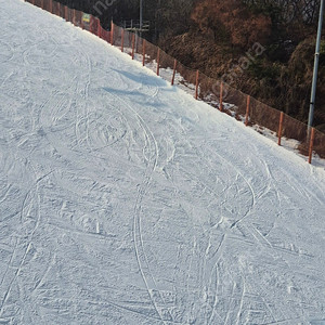 곤지암 스키장 주중권 양도합니다/ 30만