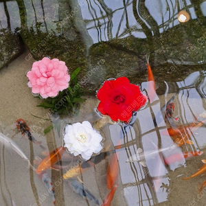 경주 힐튼호텔 숙박권(조식포함)구합니다.