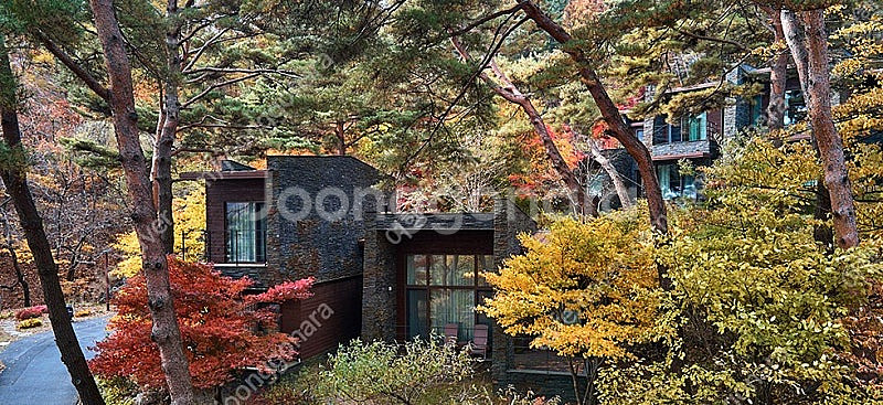 [설연휴] 1/27,28,29일 제천 리솜포레스트,레스...--0