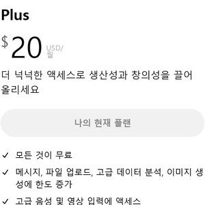 chat gpt 챗지피티 plus 혼자 쓰실 분 (~2/15)