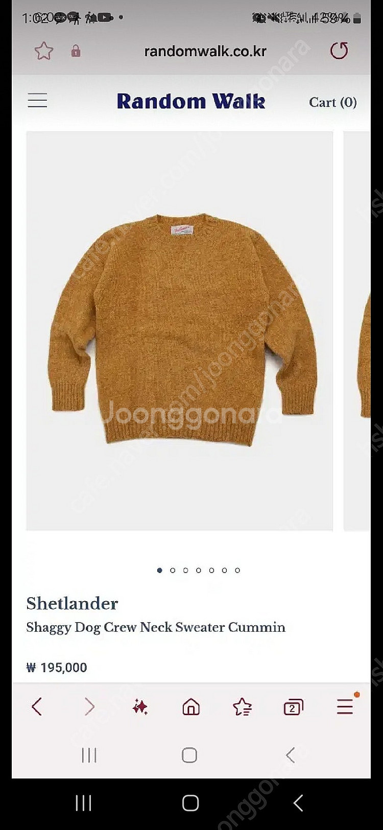 셔틀랜더 쉐기독 니트 쿠민 42 cummin--0