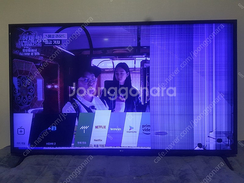 LG 55인치 도광판 확산시트 스피커 부품용 55UK6...--1