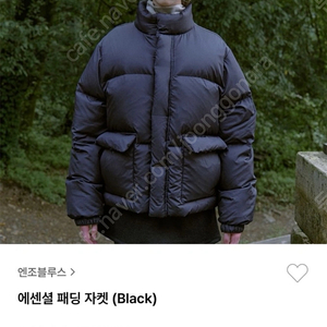 엔조블루스 패딩 상태좋음