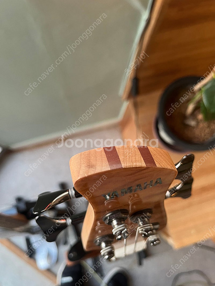 야마하 봇치더락 키쿠리 베이스 TRB1004J NT 판매--8