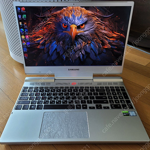 삼성 오디세이 15인치 i5-9300H 16G GTX1650 디자인/게이밍 노트북