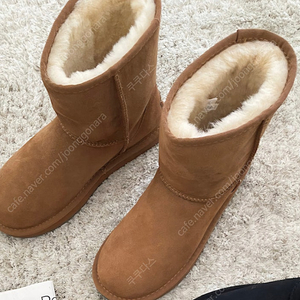 (새 상품) UGG 어그 부츠 클래식 230사이즈 (정가278,000원)