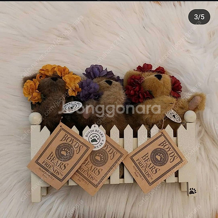 미국 꽃보이즈베어 울타리--0