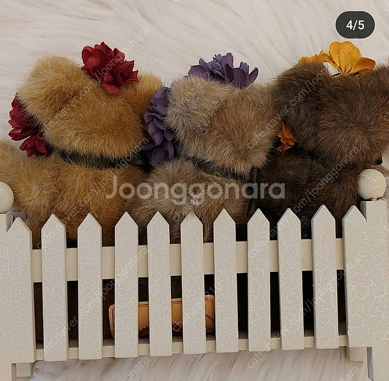 미국 꽃보이즈베어 울타리--3