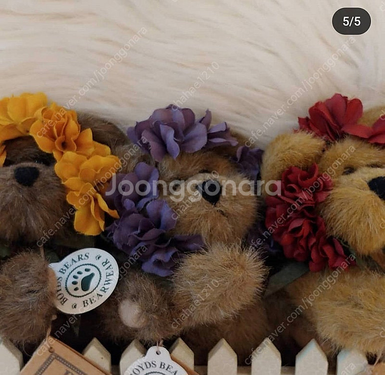 미국 꽃보이즈베어 울타리--4