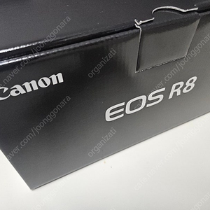 캐논 EOS R8