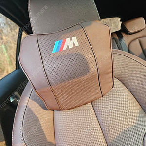 BMW 목쿠션, 사이드쿠션