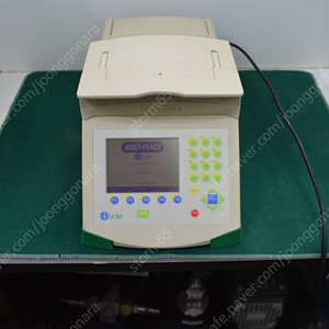 PCR iCycler (Bio-Rad)