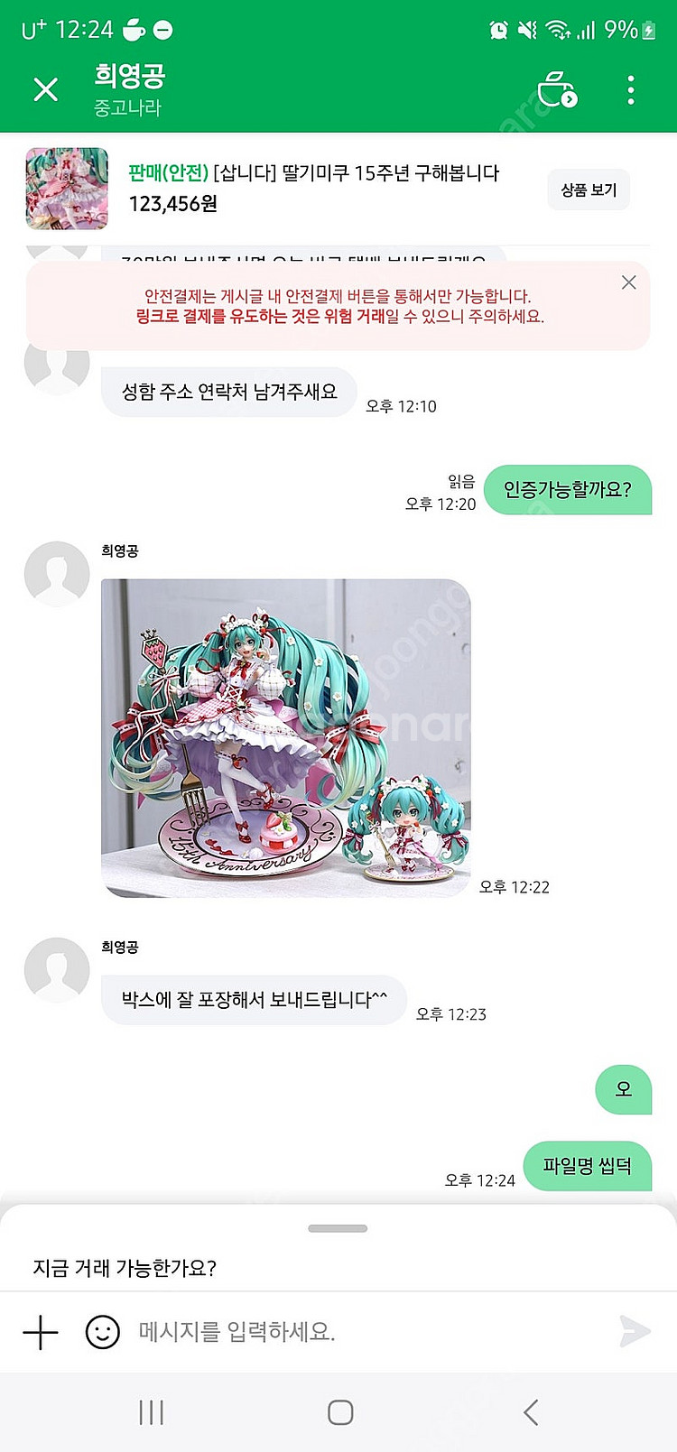딸기미쿠 희영공 사기--0