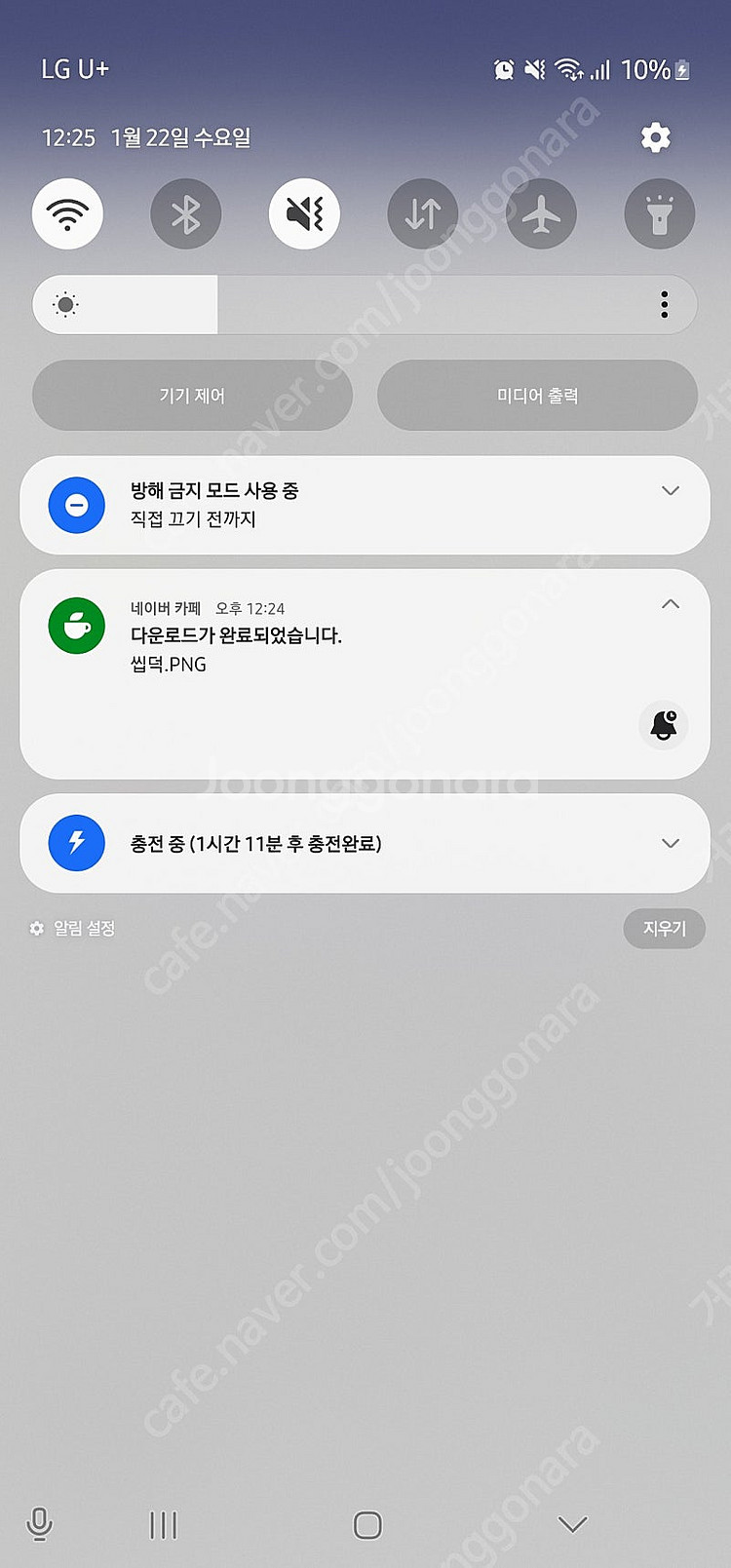 딸기미쿠 희영공 사기--1
