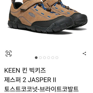 킨 재스퍼 키즈