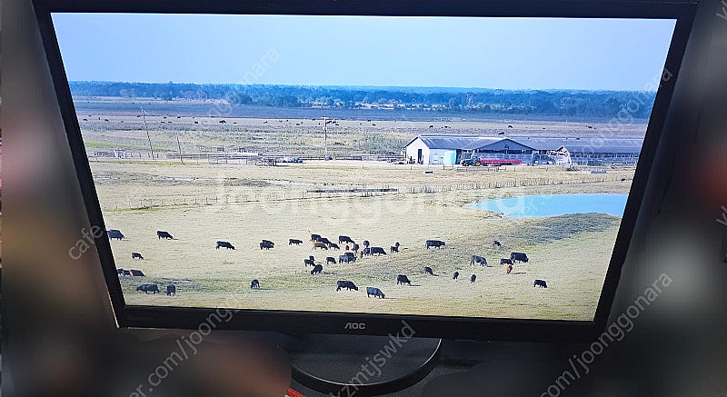 피벗 24인치 LED 모니터 M2470SWH 팝니다--0