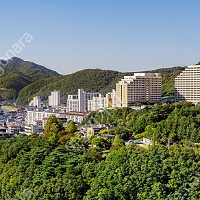 (설연휴특가) 천안/변산/여수/영덕/청송/단양/대천 가실분