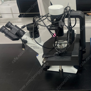 올림푸스 위상차 세포배양 현미경 CKX53 Phase Microscope