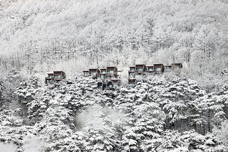 [설연휴] 1/25,26,27,28,29일 제천 리솜 ...--0