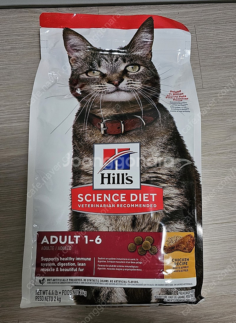 힐스 고양이 사료 판매합니다--1