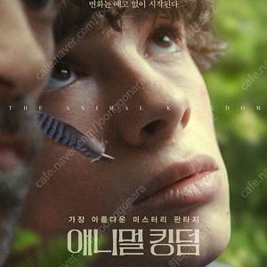 애니멀 킹덤 전용 CGV 예매권