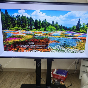 엘지 OLED 65인치 TV 팝니다