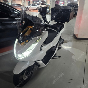 PCX125 24년8월 판매합니다