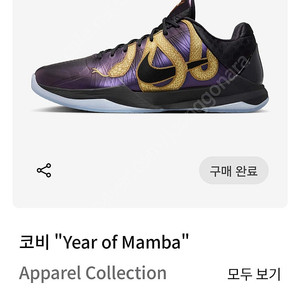 코비 5 Year of Mamba