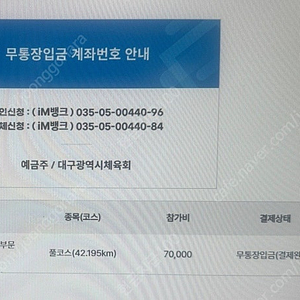 대구마라톤 풀코스 여자95m 양도