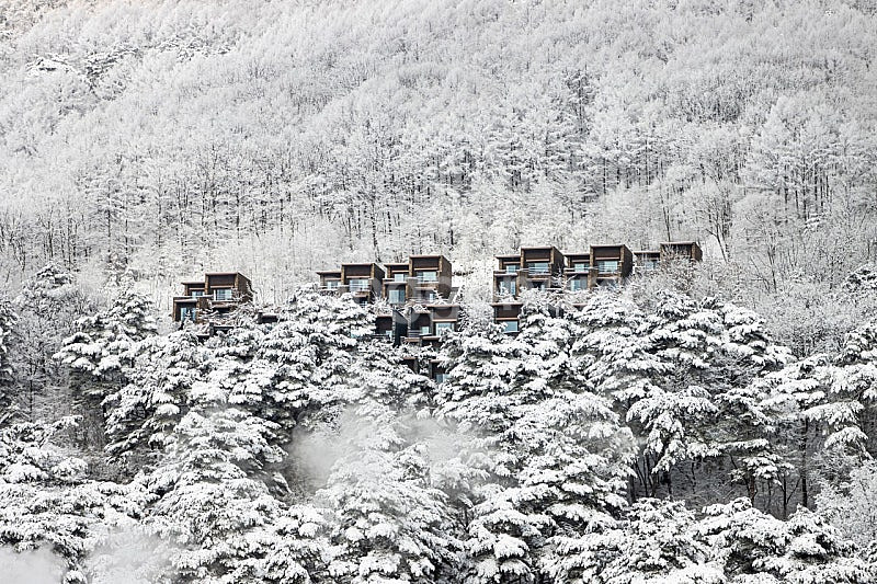 [설연휴] 1/25,28,29,30일 제천 리솜 리조트...--0