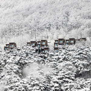 [설연휴] 1/25,28,29,30일 제천 리솜 리조트 가실분~