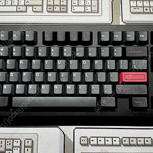 F1-8x v2 랩터 wkl