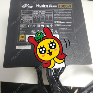 컴퓨터 파워 FSP HYDRO G PRO 1000W 80PLUS Gold Full Modular 서플라이 택포