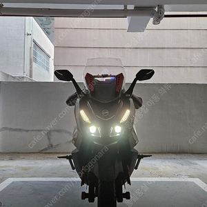 2022년 크루심알파 125cc 판매 및 대차