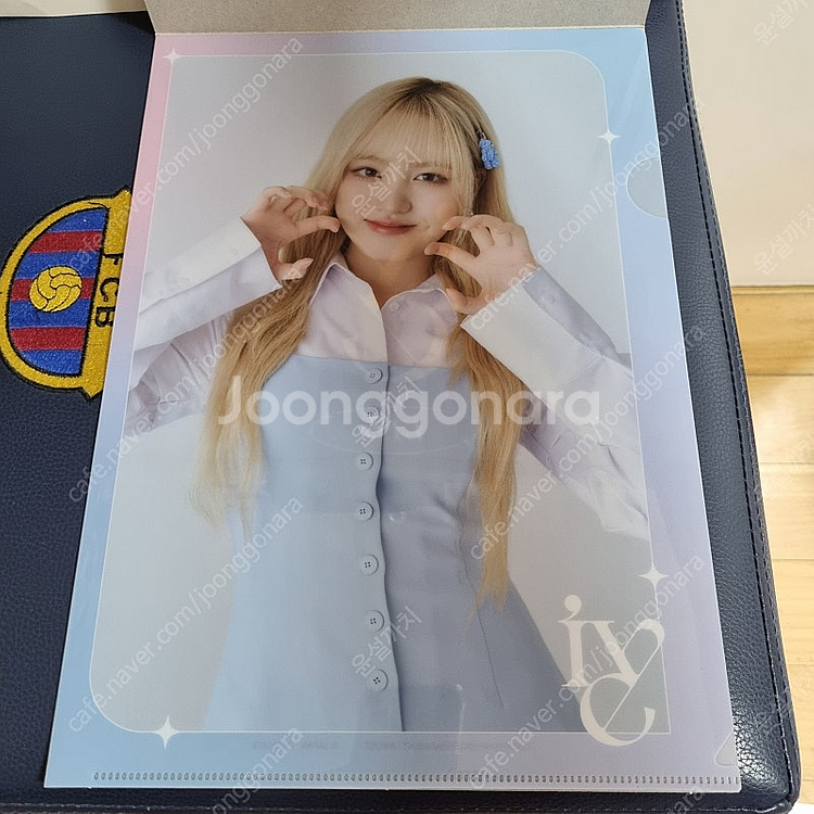 아이브 파일 가챠 (리즈) 판매합니다~--0