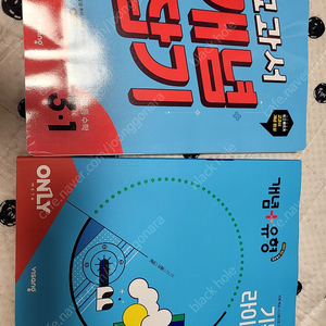 교과서 개념잡기. 기본라이트 2권