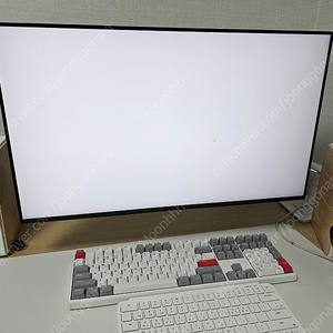 LG 27GP95R 4K 나노ips 게이밍모니터 (시흥시)