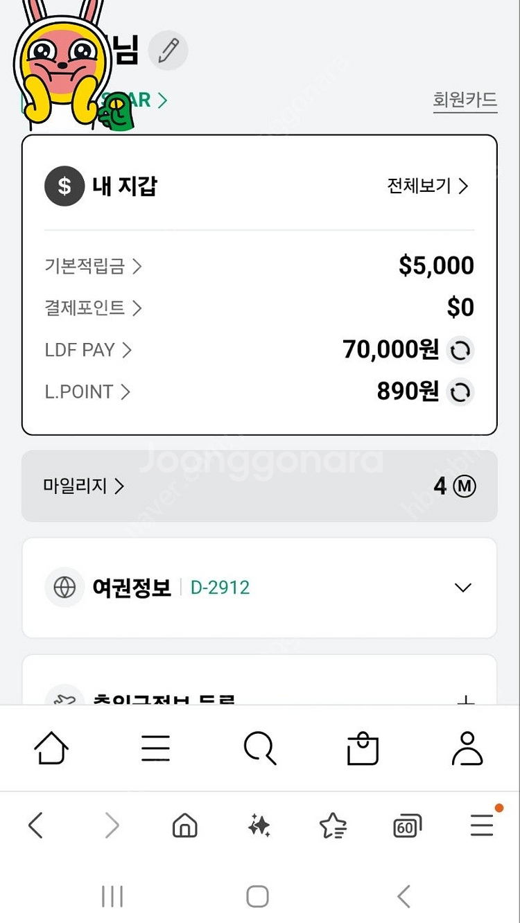 LDP 롯데페이 명동본점 7만원 1월26일까지--1