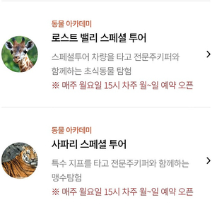 에버랜드 스페셜투어 사파리 로스트밸리 1월27일 /2월1일