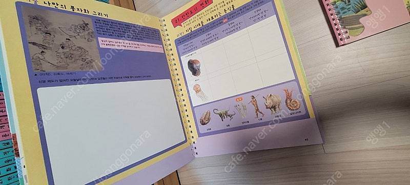 눈으로 보는 통합교과 (새책수준이상) 이미지