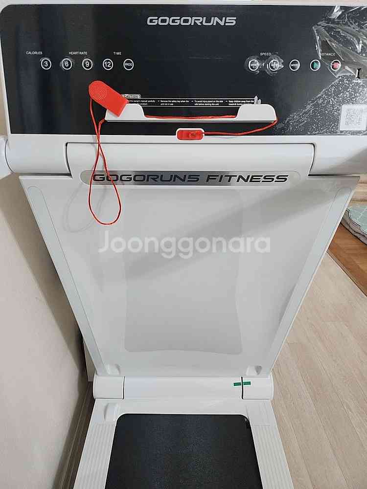 고고런5--1