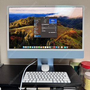 apple 아이맥 M3 24 고급형 (512/8)
