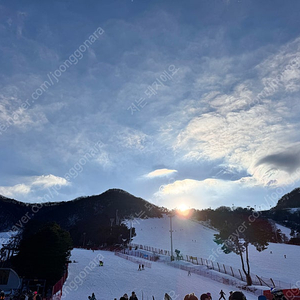 지산리조트 시즌권 양도