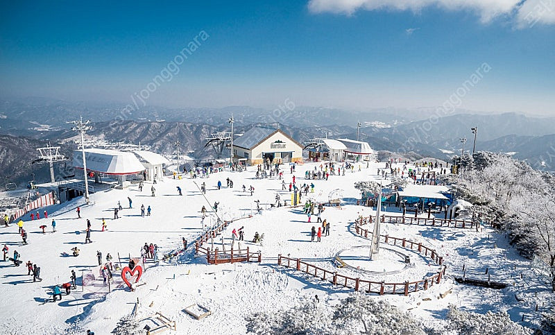 1월 27일/28일 휘닉스파크 로얄콘도 40평 가실분!...--0
