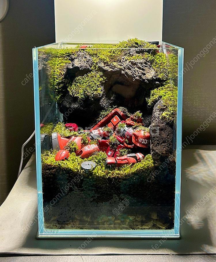 건담 테라리움,비바리움 어항(택배가능)--1