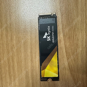 SK하이닉스 Gold P31 NVMe 1TB SSD